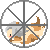 蓯
